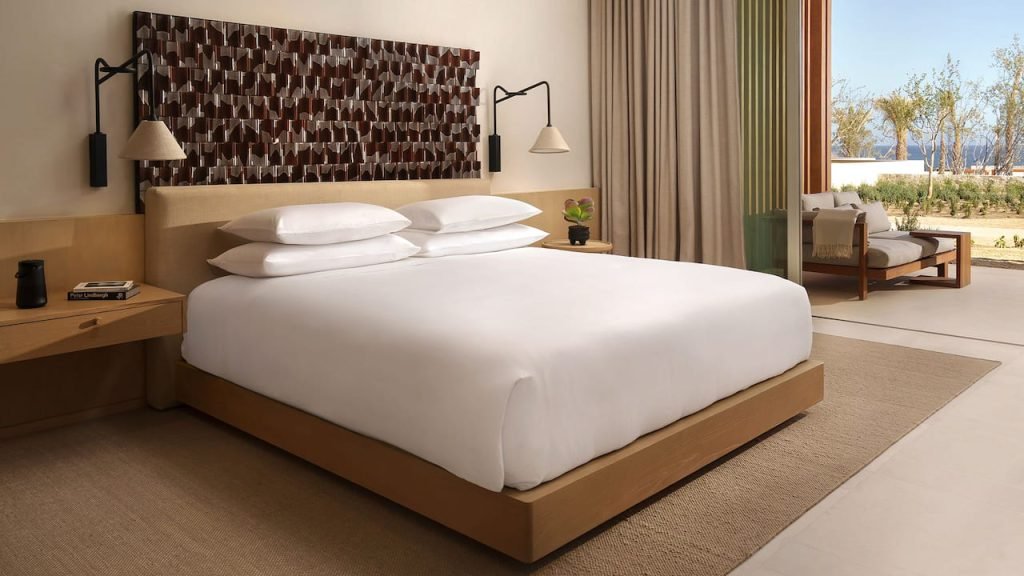 1 King Bed Partial Ocean View With Terrace